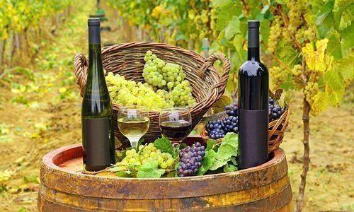 бутылки и бокалы вина с виноградом